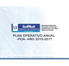 Plan operativo anual