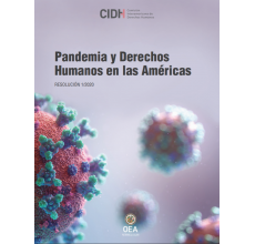 pandemia y derechos humanos
