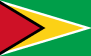 bandera guyana