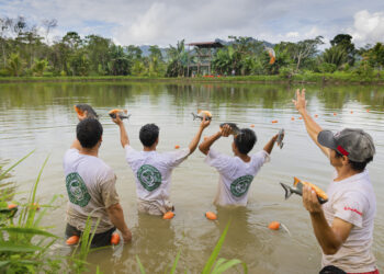 EMCDDA becomes official partner of COPOLAD III