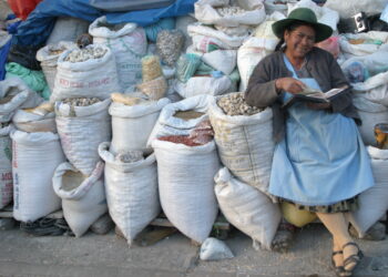 Webinario de experiencias y Buenas Prácticas en Programas de atención de adicciones a mujeres y población vulnerable