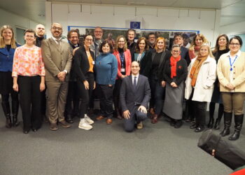 participantes del steering