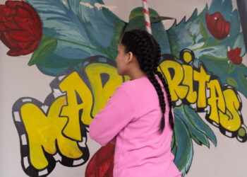 Alternatives to arrest or imprisonment in the case of minor drug offences