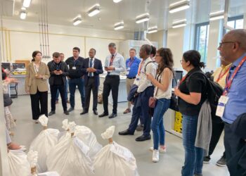 Reunión de expertos sobre la ocultación química de la cocaína