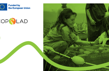 Guide for the incorporation of a differential and rights-based approach