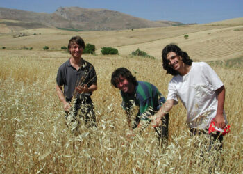 activo del narcotráfico recuperado