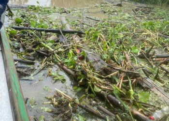 Comunidades nativas del Amazonas dicen basta al narcotráfico