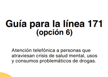 Guía para la línea 171 (opción 6)