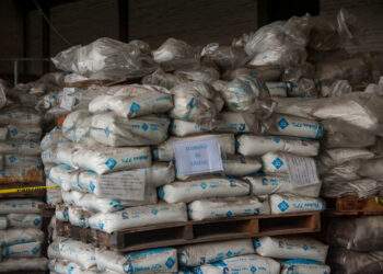 Narcotráfico y su Impacto en el Medioambiente: Lineamientos para la Persecución Penal