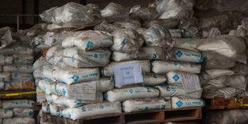 Narcotráfico y su Impacto en el Medioambiente: Lineamientos para la Persecución Penal