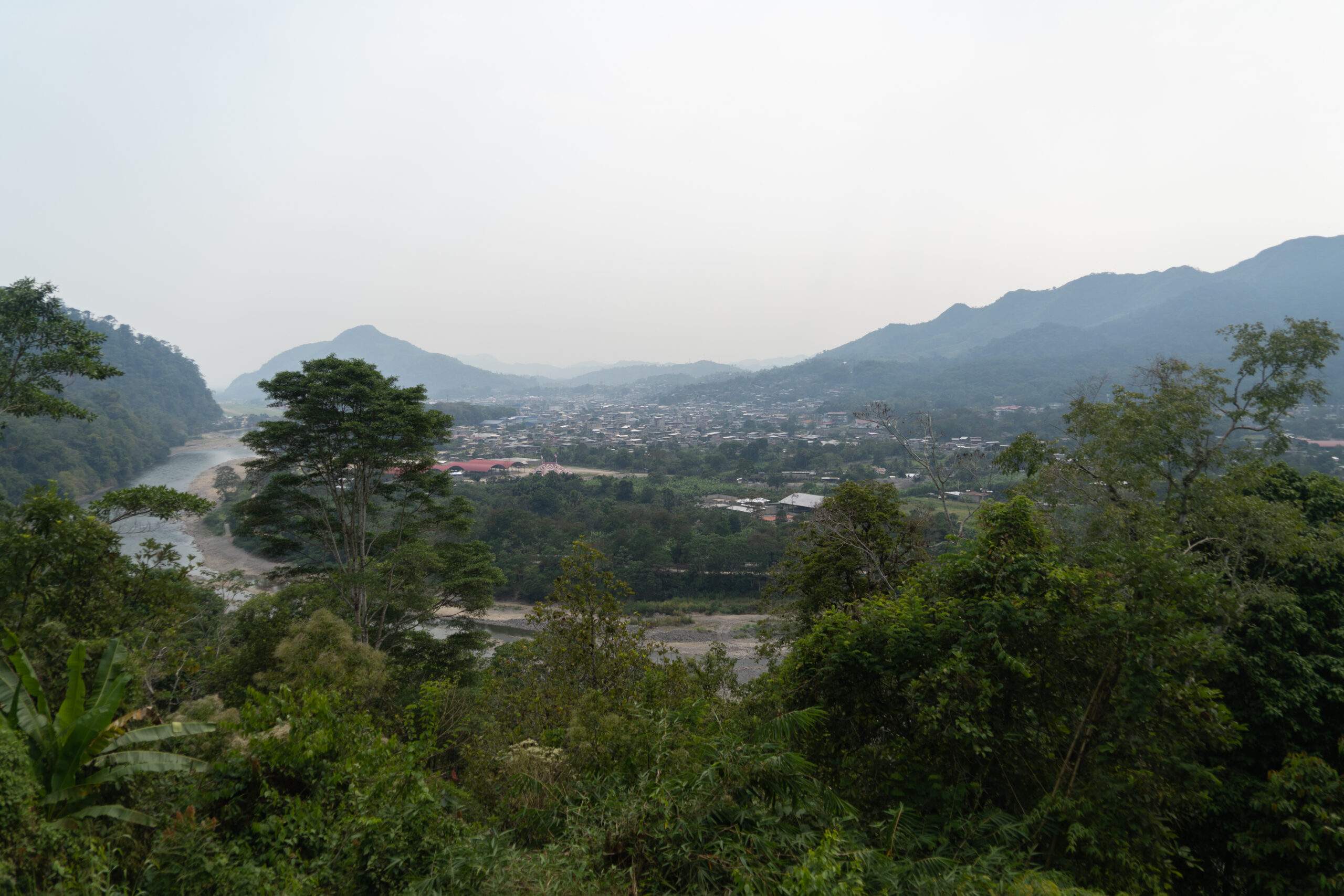 Narcotráfico y su Impacto en el Medioambiente