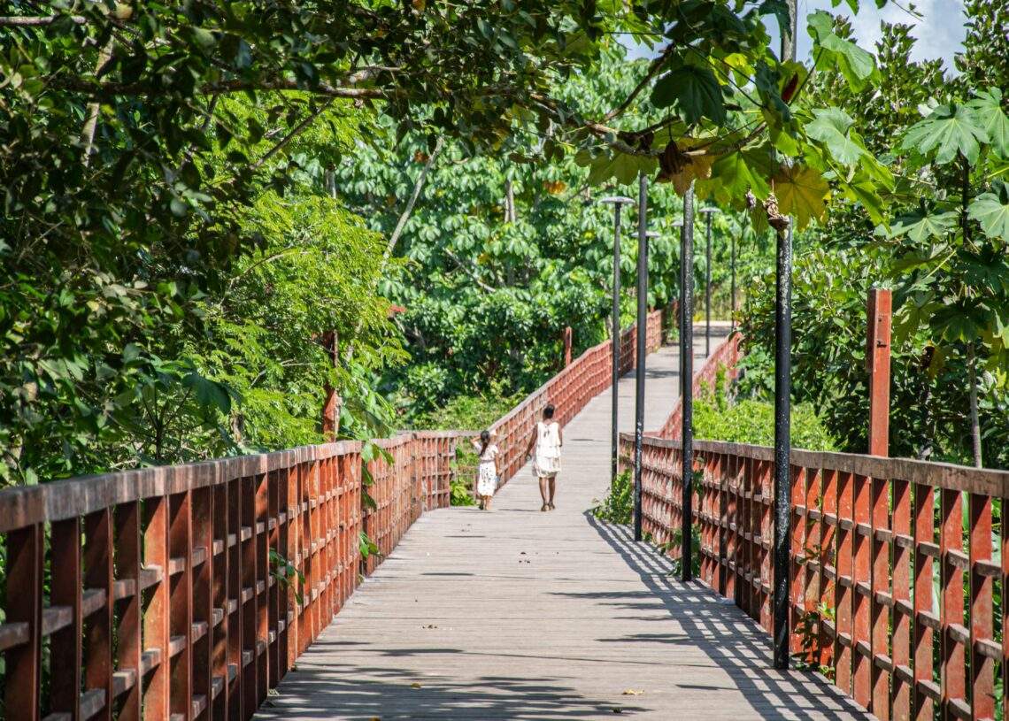 Niños caminan por un puente en el Amazonas.